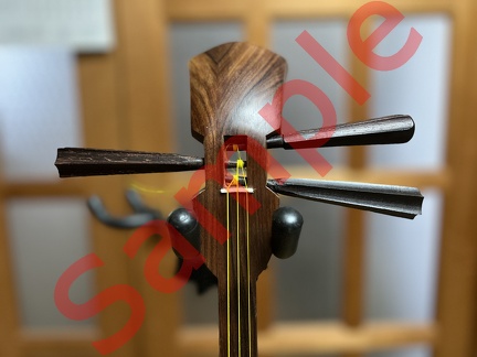 051BE0A5-405B-4EE7-AF6C-8812E2E87710