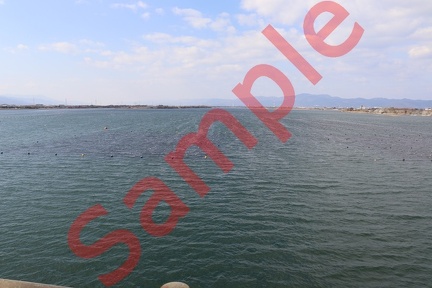 2022年末at徳島市