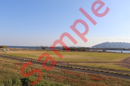 徳島市吉野川近辺