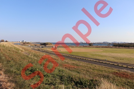 徳島市吉野川近辺