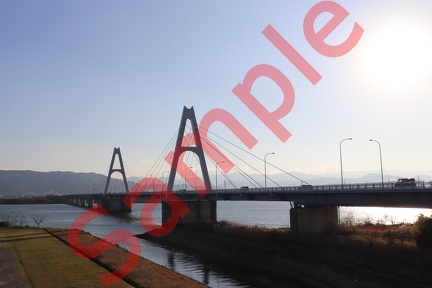 徳島市吉野川近辺