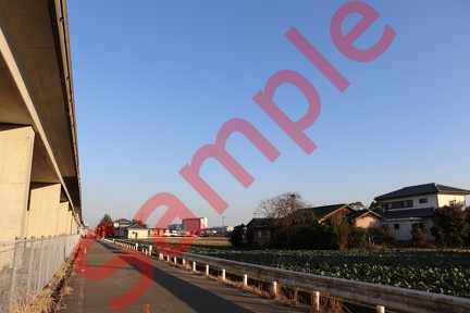 徳島市吉野川近辺