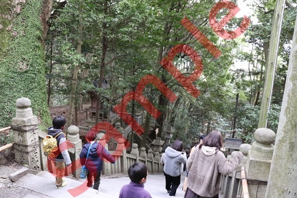 金刀比羅神社