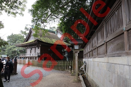 金刀比羅神社