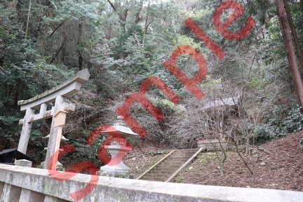 金刀比羅神社