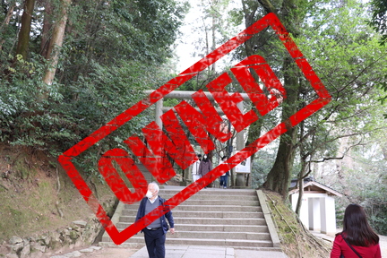 金刀比羅神社