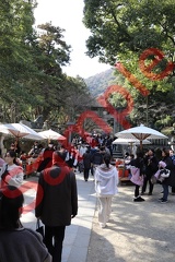 金刀比羅神社