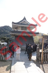 金刀比羅神社