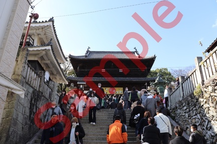 金刀比羅神社
